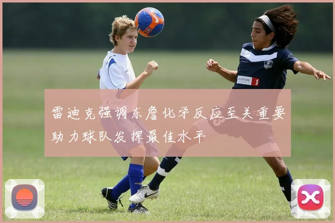 雷迪克强调东詹化学反应至关重要助力球队发挥最佳水平