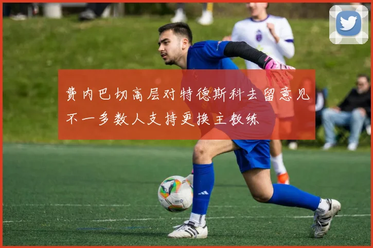 费内巴切高层对特德斯科去留意见不一多数人支持更换主教练