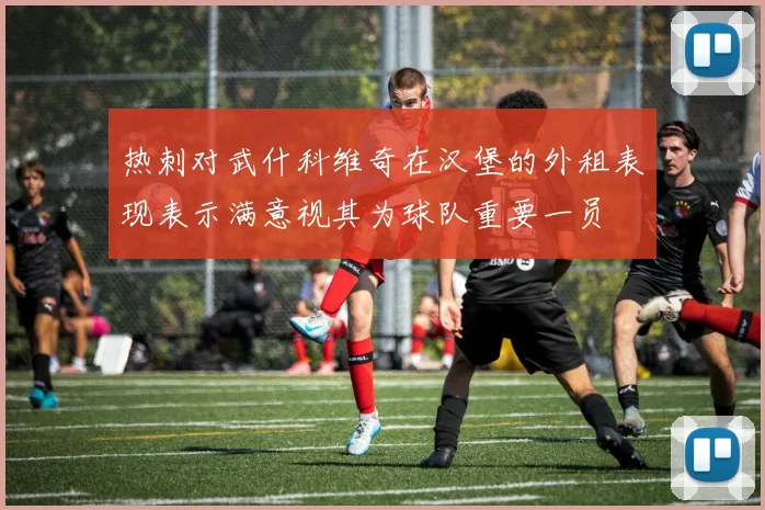 热刺对武什科维奇在汉堡的外租表现表示满意视其为球队重要一员