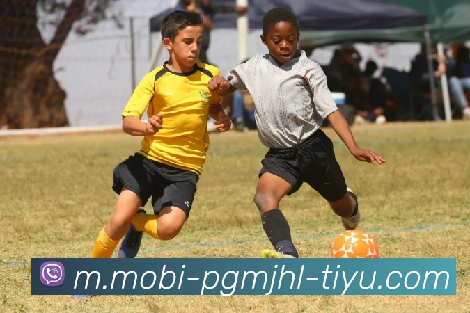 App Interface Preview